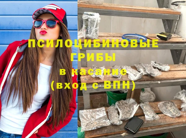 амф Зеленокумск